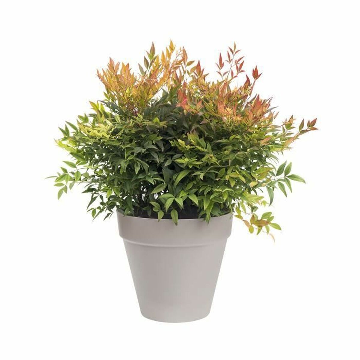 Stiklainis Elho Urban Pilka Apskritas Ø 20 cm